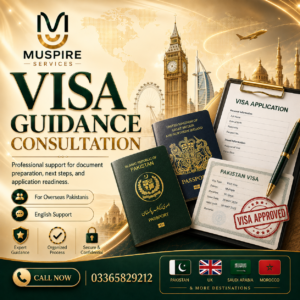 visa guidance consultation
